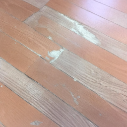 Ponçage et vitrification : redonnez vie à votre parquet et prolongez sa durabilité Cleon